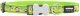 Obroża dla psa Red Dingo STYLE MONKEY LIME GREEN 15 mm x 24-36 cm 2