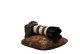 Buteo Photo Gear Bean Bag 3 Flat 1
