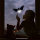 OTOTO Lightbug Solar Night light 2