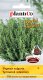 Seklos LT PLATINET NASIONA Thyme common THYME SEEDS 0,3 G 2