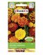 PLATINET NASIONA AKSAMITKA ROZPIERZCHŁA MERIGOLD SEEDS 1 G 3