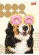 Zeszyt A5 60k linia laminowany Funny Dog p10, mix cena za 1 szt 4