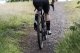 Opona gravel VREDESTEIN Aventura Grezzo, 27,5"x2.00 (50-584), Zwijana, TPI120, TLR, Czarna-Transparentna (NEW) 1