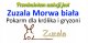 Zuzala ZUZALA MORWA BIAŁA 3