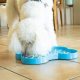 SloDog Slow Feeder Plate Miska spowalniająca duża kość turkusowa 2