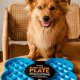 SloDog Slow Feeder Plate Miska spowalniająca duża kość turkusowa 6