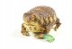 *****Żaba Common Rain 26cm 21479 14796***** 4