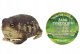*****Żaba Common Rain 26cm 21479 14796***** 8