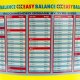 Proszek do wyważania kół Easy Balance (9 kg, wiadro) - Safety Seal 5
