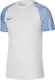 Koszulka męska Nike Dri-FIT Academy JSY SS biało-niebieska DH8031 102 L 1