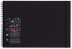 Szkicownik Derwent Black Book A3 1