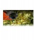 Żyłka tnąca Oregon Duoline 106501E 2,4mm 90m 5