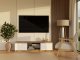 RTV Malwa 140 ARTISAN BIEL 11