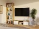 RTV Malwa 120 ARTISAN BIEL 12