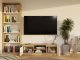 RTV Malwa 120 ARTISAN BIEL 14