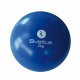 Weighted ball, SVELTUS 2 kg 2