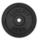 STANDARD CAST PLATE LIFEFIT 15KG 30MM 1