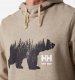 Jumper HELLY HANSEN Graphic Sweatshirt, green M 2