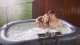 Basen z hydromasażem dmuchane Nest MSpa 2 osoby SPA Bąbelki 4