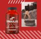 MP NUTRITION Tribulus 200mg - 100caps 19