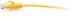 C2G 7ft (2.1m) Cat6a Snagless Unshielded (UTP) Slim Ethernet Network Patch Cable - Yellow - Patch-Kabel - RJ-45 (M) zu RJ-45 (M) - 2.1 m - 4.8 mm - UTP - CAT 6a - geformt, ohne Haken - Gelb 1
