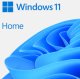 MS FPP WIN Home 11 64-bit German 1 License USB Flash Drive (DE) 2