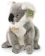 Rappa - Pluszowa maskotka stojący Miś Koala 25 cm Eco-Friendly 2