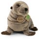 Rappa - Pluszowa maskotka Foka Lew Morski 30 cm Eco-Friendly 2