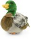 Rappa - Pluszowa maskotka Kaczka Krzyżówka 20 cm Eco-Friendly 1