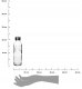 HOLLIE CLEAR Butelka 500ml 4,5x6,5xh22,5cm 3
