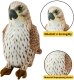 Pluszowa Maskotka Przytulanka Ptak Sokół Wędrowny Brązowy 30cm 2