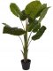 Sztuczna roślina doniczkowa ALOCASIA WENTII, wysoka, 110 cm 1