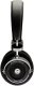 Grado GW100x 1
