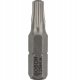 Bosch T25H Torx Sicherheits-Bit 2