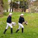 Froster Hobby Horse Skippi A3 - Karmelowy - Beżowy - kantar i wodze w zestawie 7