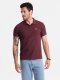 Męska jednokolorowa koszulka polo BASIC z dzianiny pique - bordowa V10 OM-POBS-0100 XXL 2