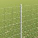 vidaXL VidaXL Euro Płot z 10 Słupkami Srebrnym 1,5x10 m Stal 3