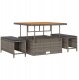 Zestaw ogrodowy 11-częściowy z poduszkami Szary Polirattan Akacja, Zestaw jadalny 3-częściowy z poduszkami Szary Polirattan Akacja 3