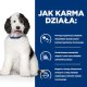 HILL'S PD Prescription Diet Canine c/d gulasz 354g - puszka 4