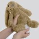Ro the Rabbit night light, beige 6