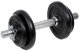 10KG CAST IRON DUMBBELL SET 1