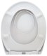 TOILET SEAT DOMOLETTI YHUF-R7 1