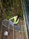 CLOTHES DRYER GENIO 157185 5