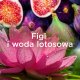 Płyn do płukania Lenor Diamond Figs & Lotus Water 0.7l 4