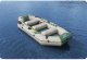 Bestway Hydro-Force Ranger Elite X4 Inflatable Raft Set 3.20 m, Rafting, Raft, Grey, 4 person(s), 500 kg, 2200 W 5