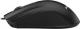 Mysz Genius Black DX-170 (31010238100) 3