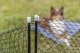 Trixie TRIXIE 39539, Safety net, Dog, Outdoor, Black, Iron, Plastic, Metal, Nylon, Powder coating 4