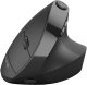 Mysz JLab Audio JBUDS ERGONOMIC Pionowa Czarny (IEUMJBERGORBLK82) 9