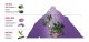 VICTORINOX Swiss Army For Her Lilac Jasmine EDT spray 100ml 5