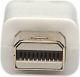 Kabel Techly DisplayPort Mini - DisplayPort 2m biały (304819) 3